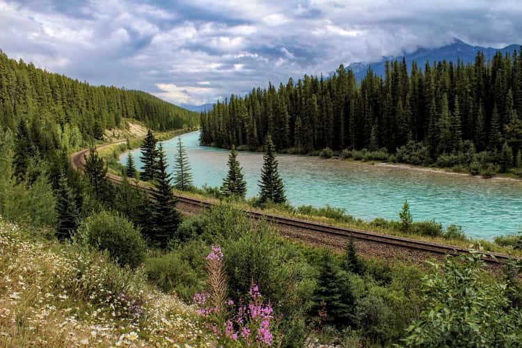 Morant's Curve