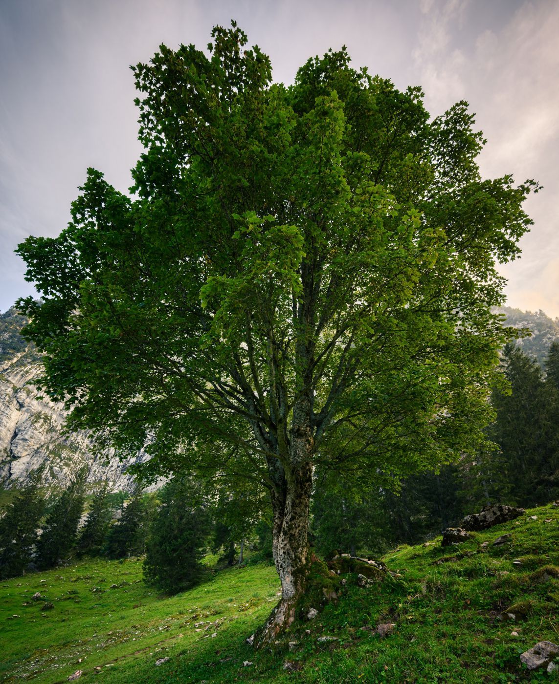 Mythen, Switzerland