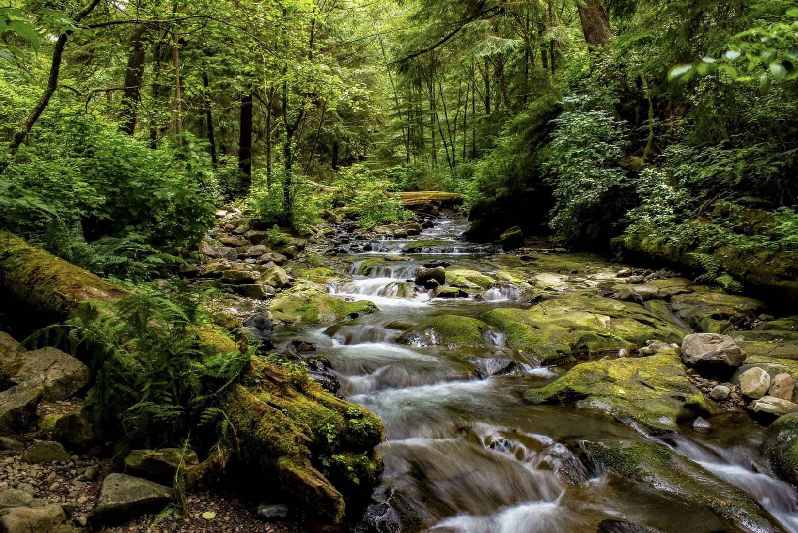 Necarney Creek, USA