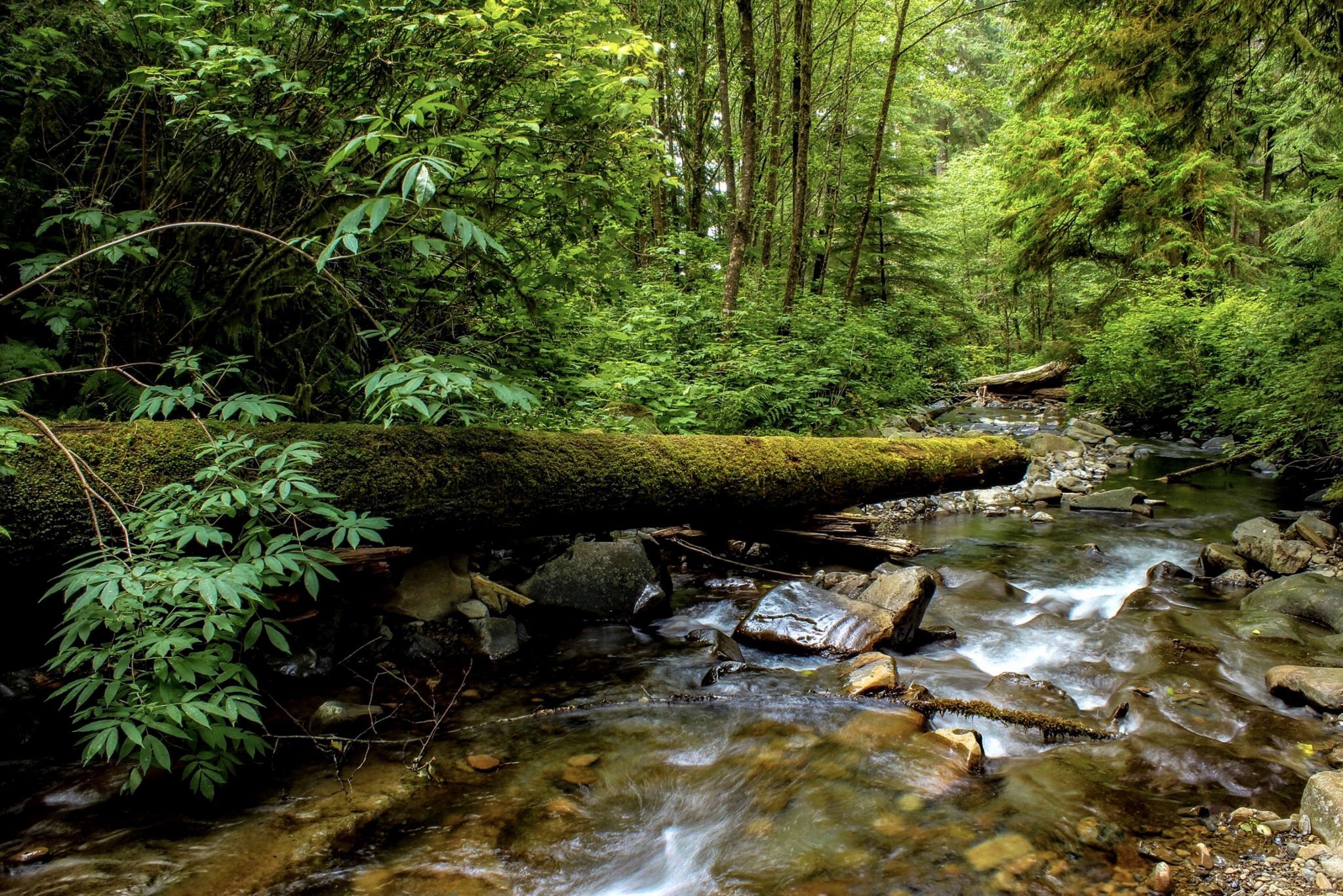 Necarney Creek, USA