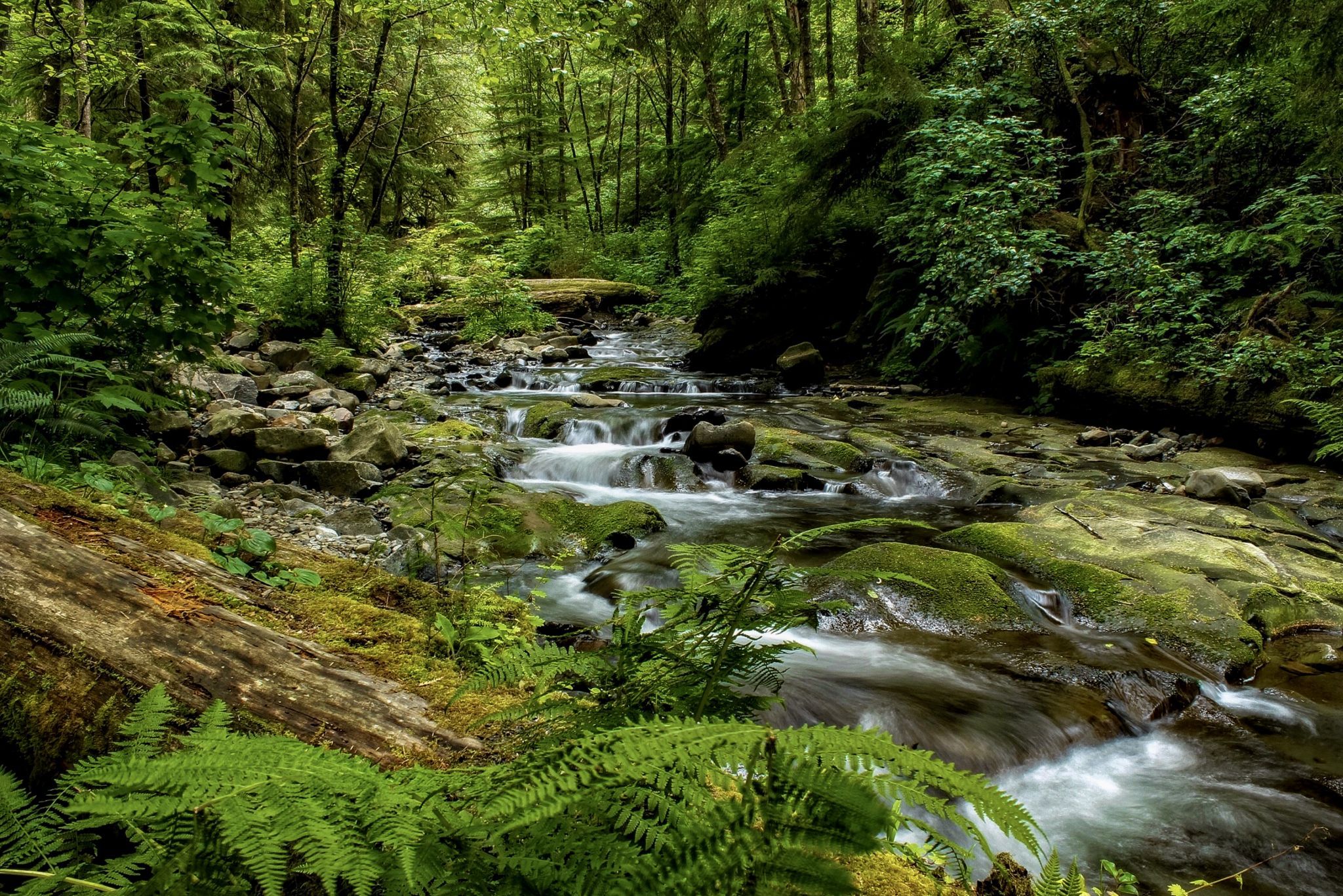 Necarney Creek, USA