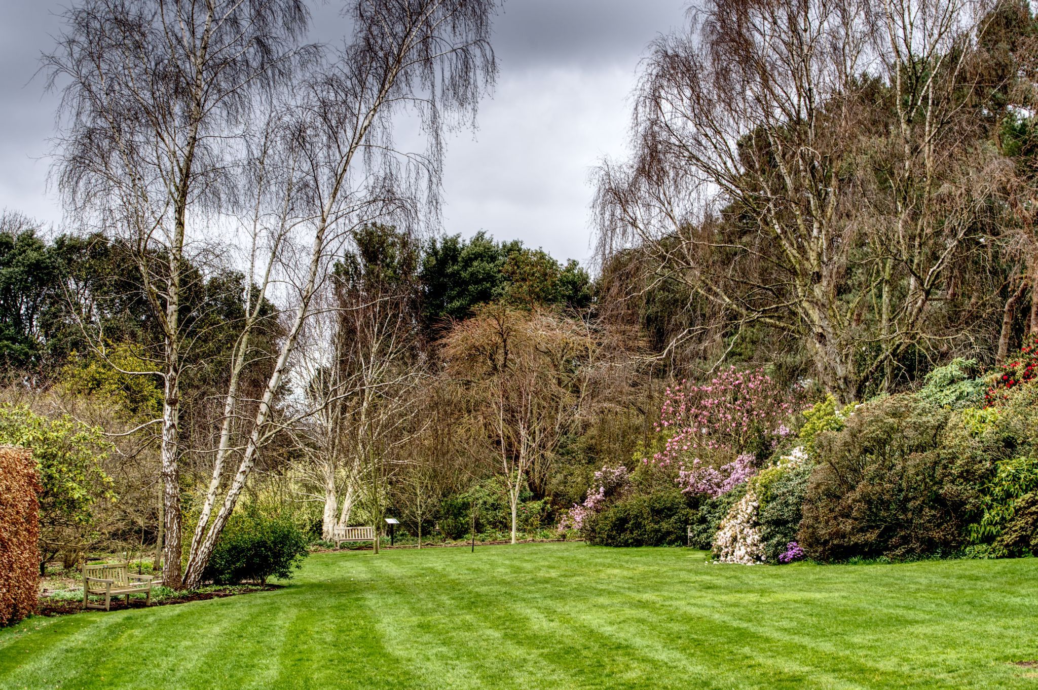 Ness Gardens, United Kingdom