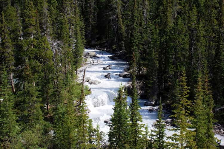 Nigel Creek