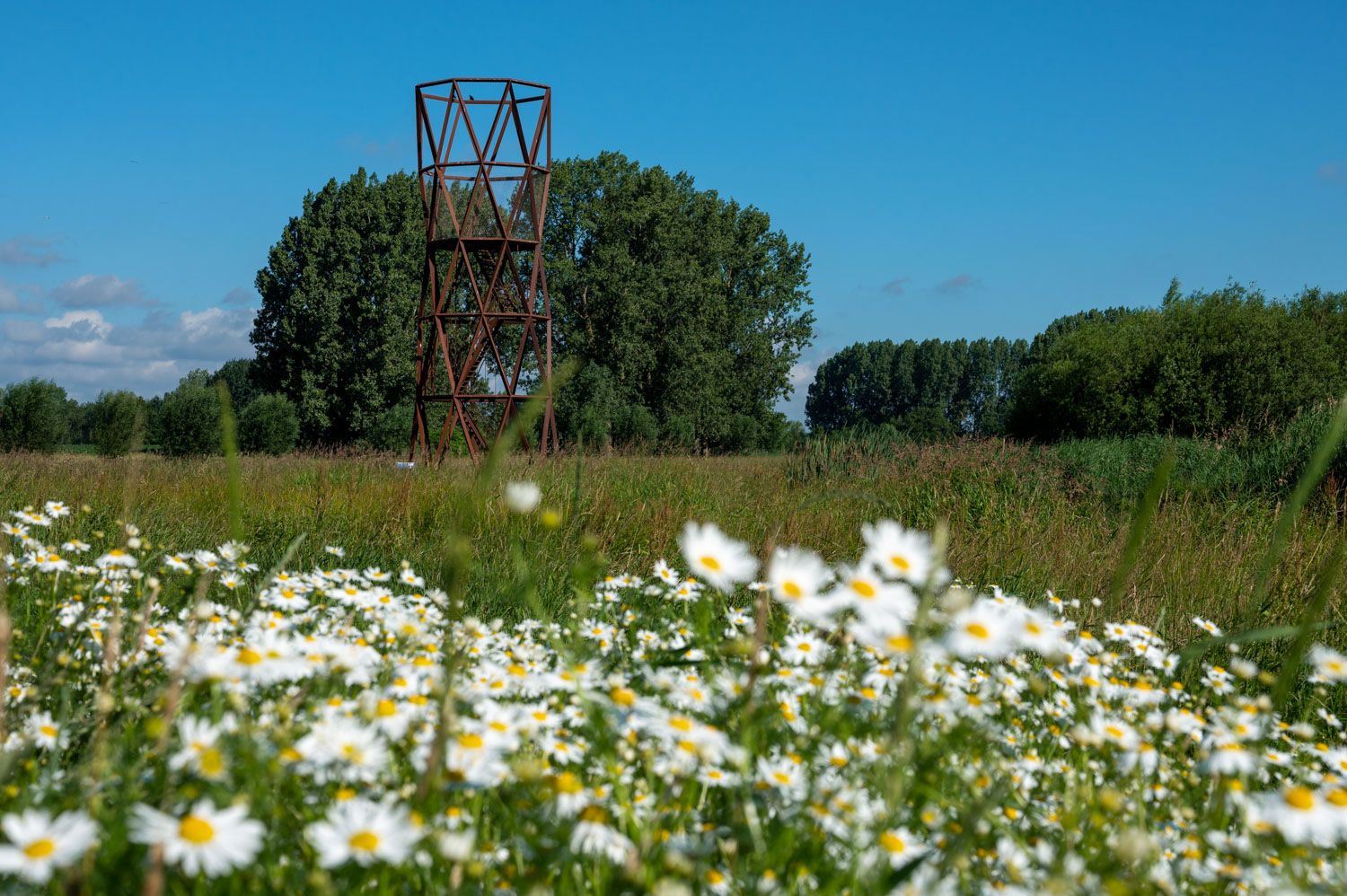 Observatory, Netherlands