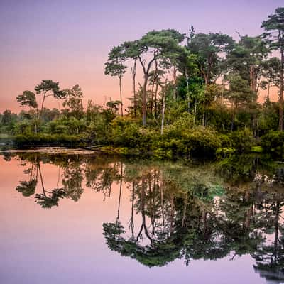 Oisterwijkse Bossen en Vennen, Netherlands