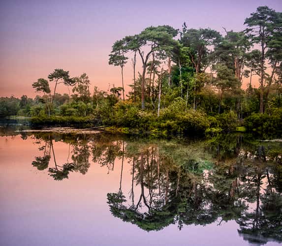 Oisterwijkse Bossen en Vennen