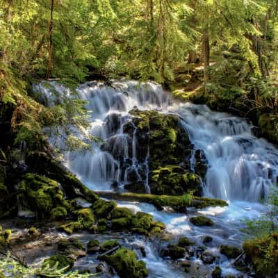 Pearsony Falls, USA