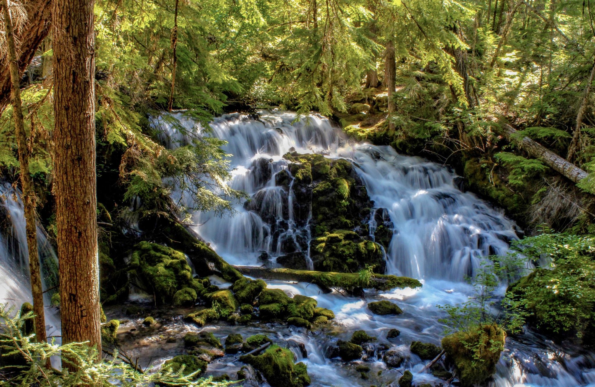 Pearsony Falls, USA