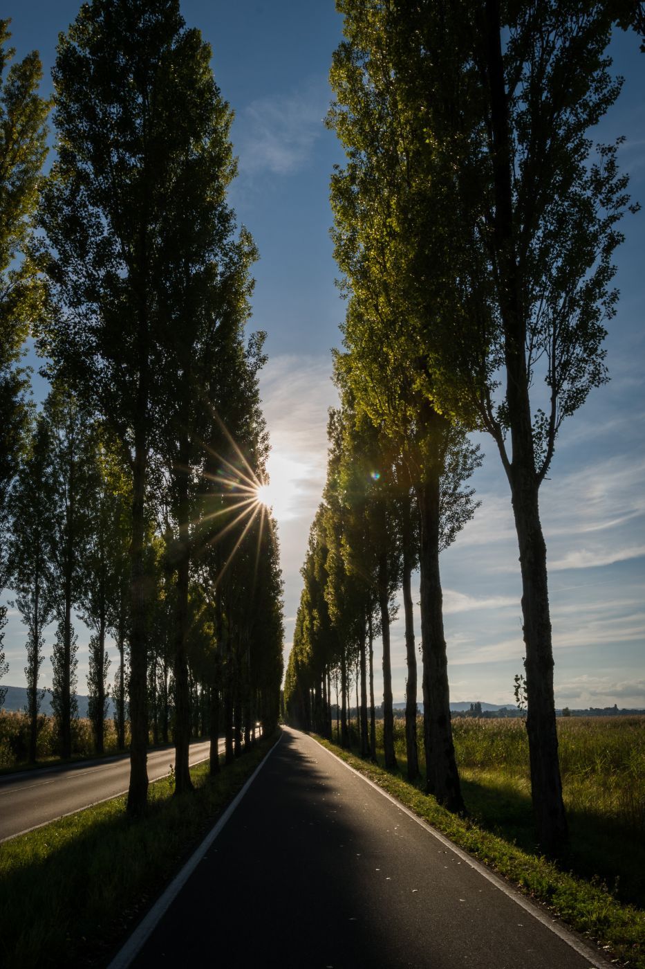 Pirminstrasse, Germany
