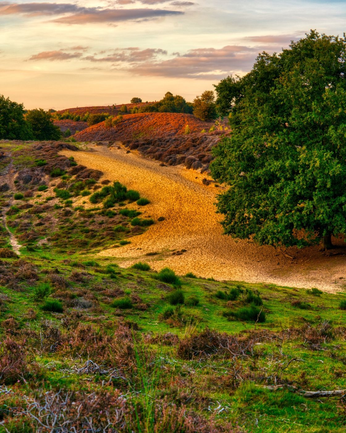 Posbank - Veluwezoom, Netherlands