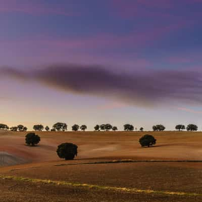 Rolling hills, Spain