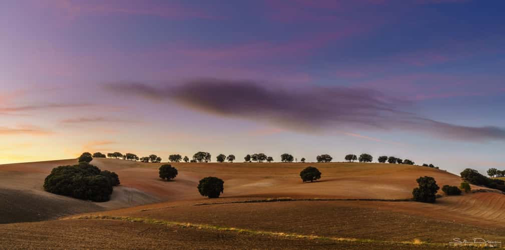 Rolling hills