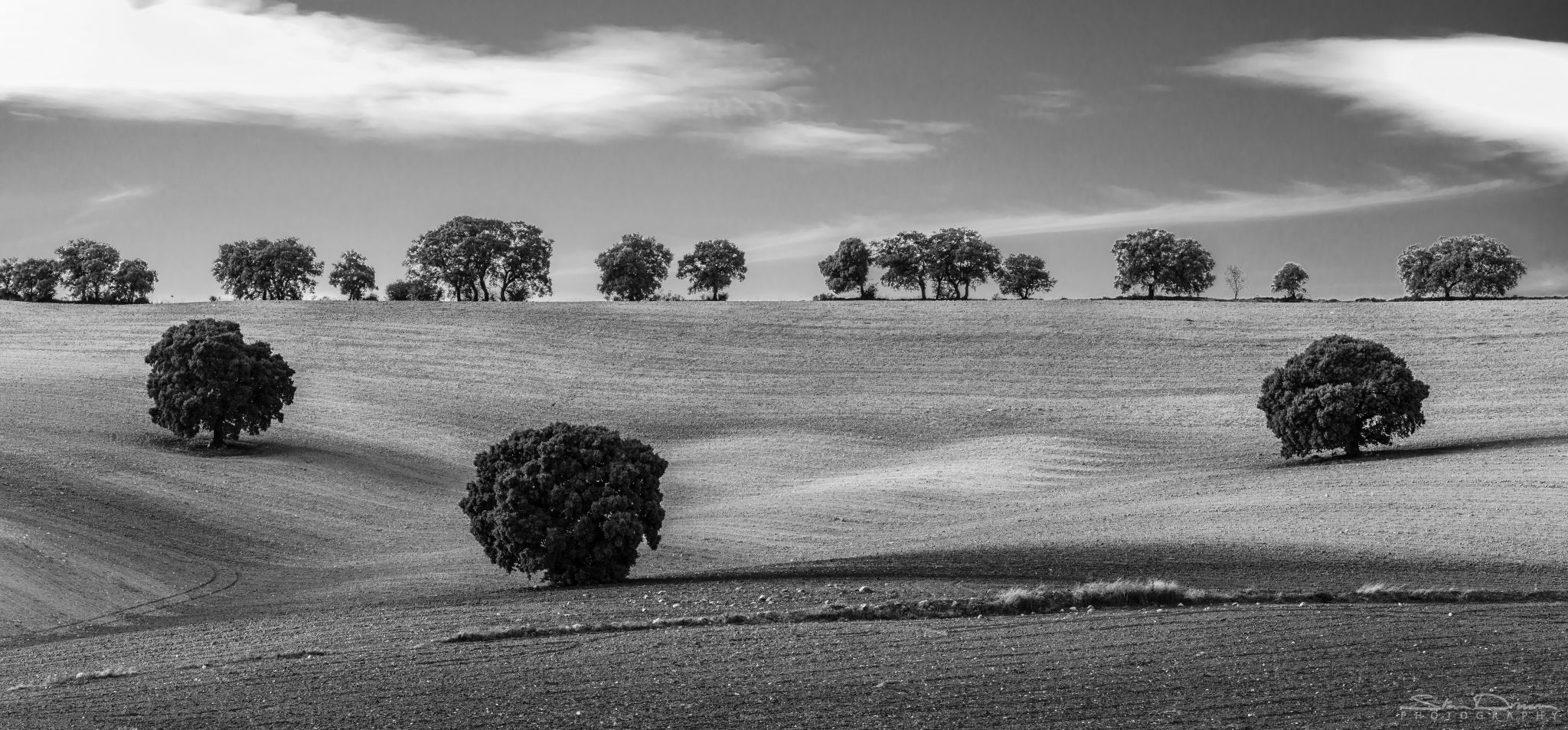 Rolling hills, Spain