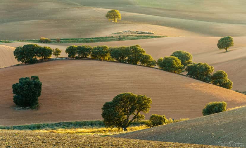 Rolling hills