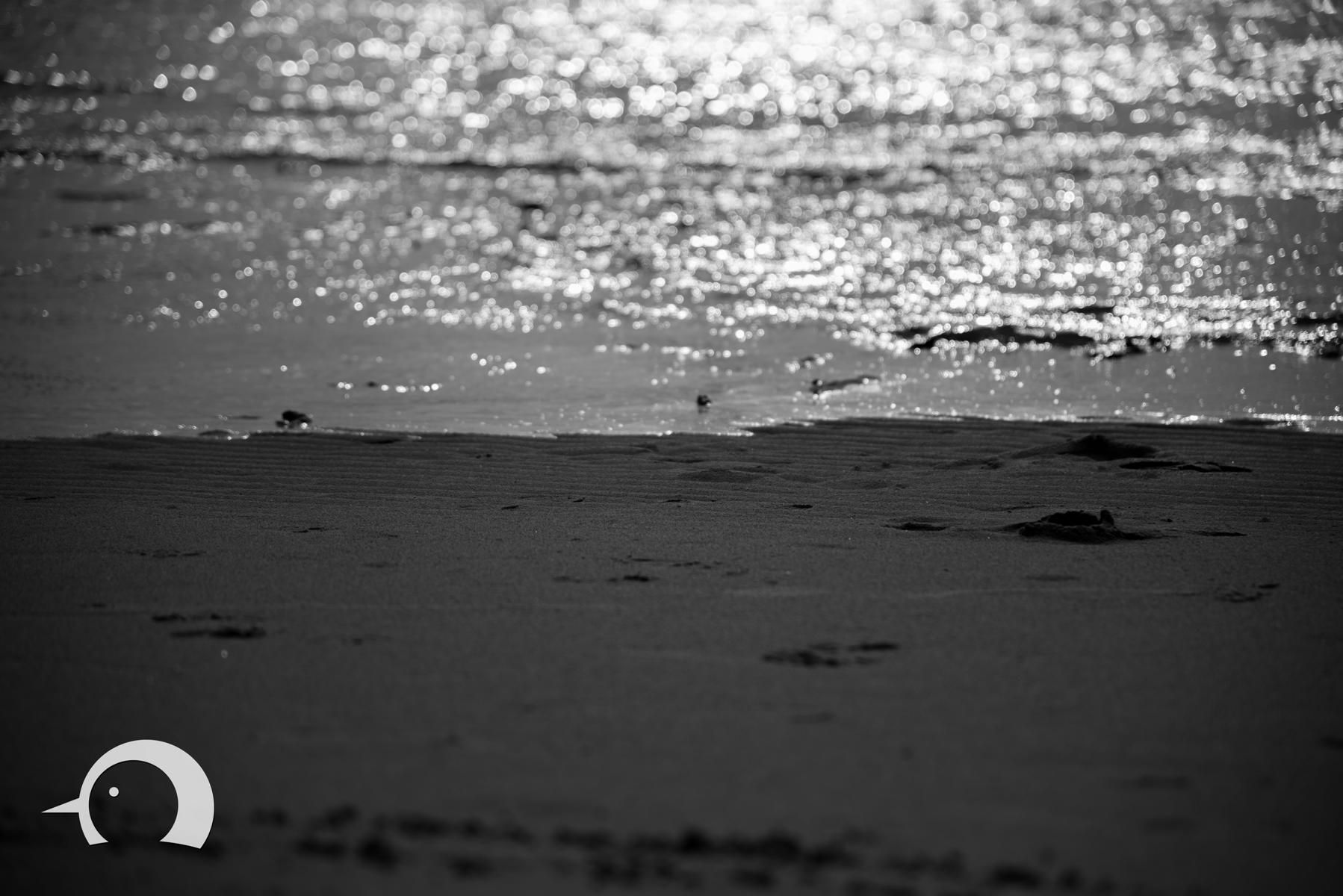 Sankt Peter Ording Beach, Germany