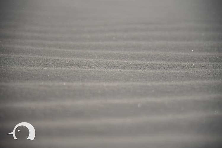 Sankt Peter Ording Beach