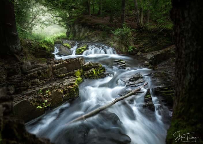 Selkefall - Saxony-Anhalt
