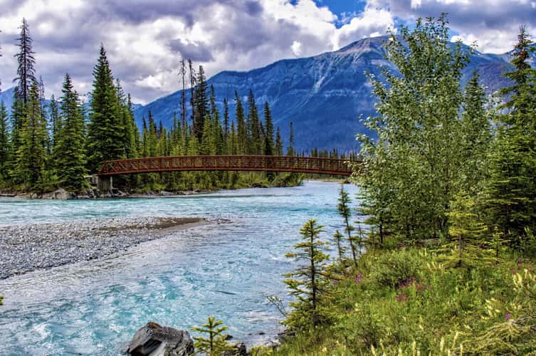 Simpson River Trailhead