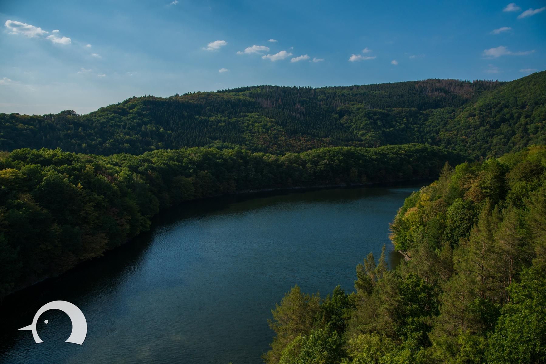 Staumauer Urftsee, Germany