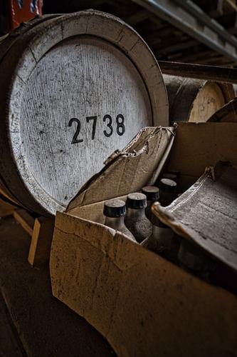 Stauning Whisky Distillery