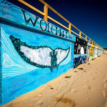 Street art Forster Beach New South Wales, Australia