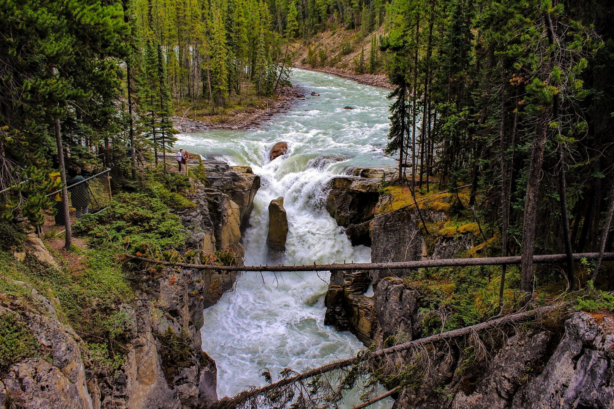 Sunwapta Falls from the Bridge, Canada
