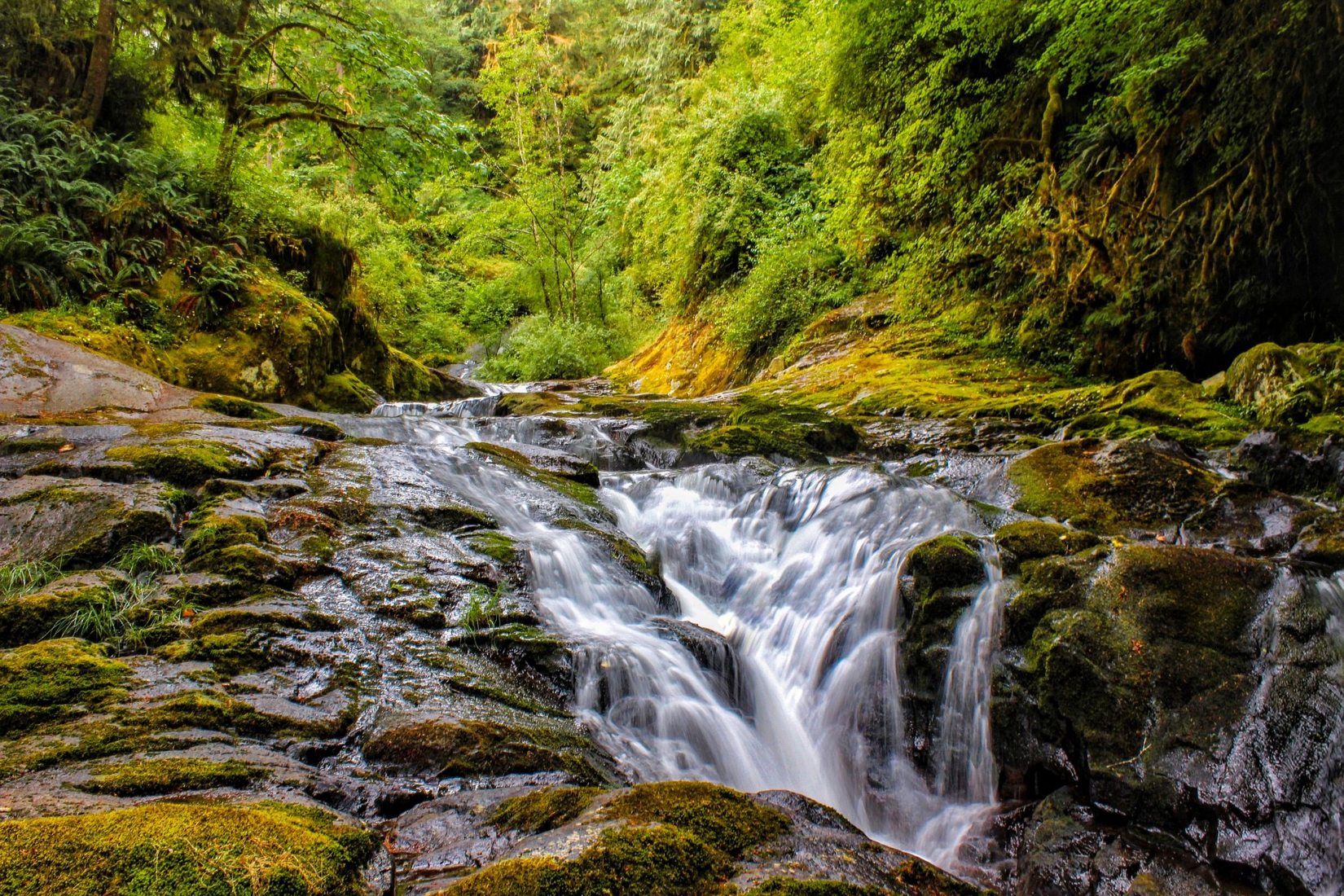 Sweet Creek, USA