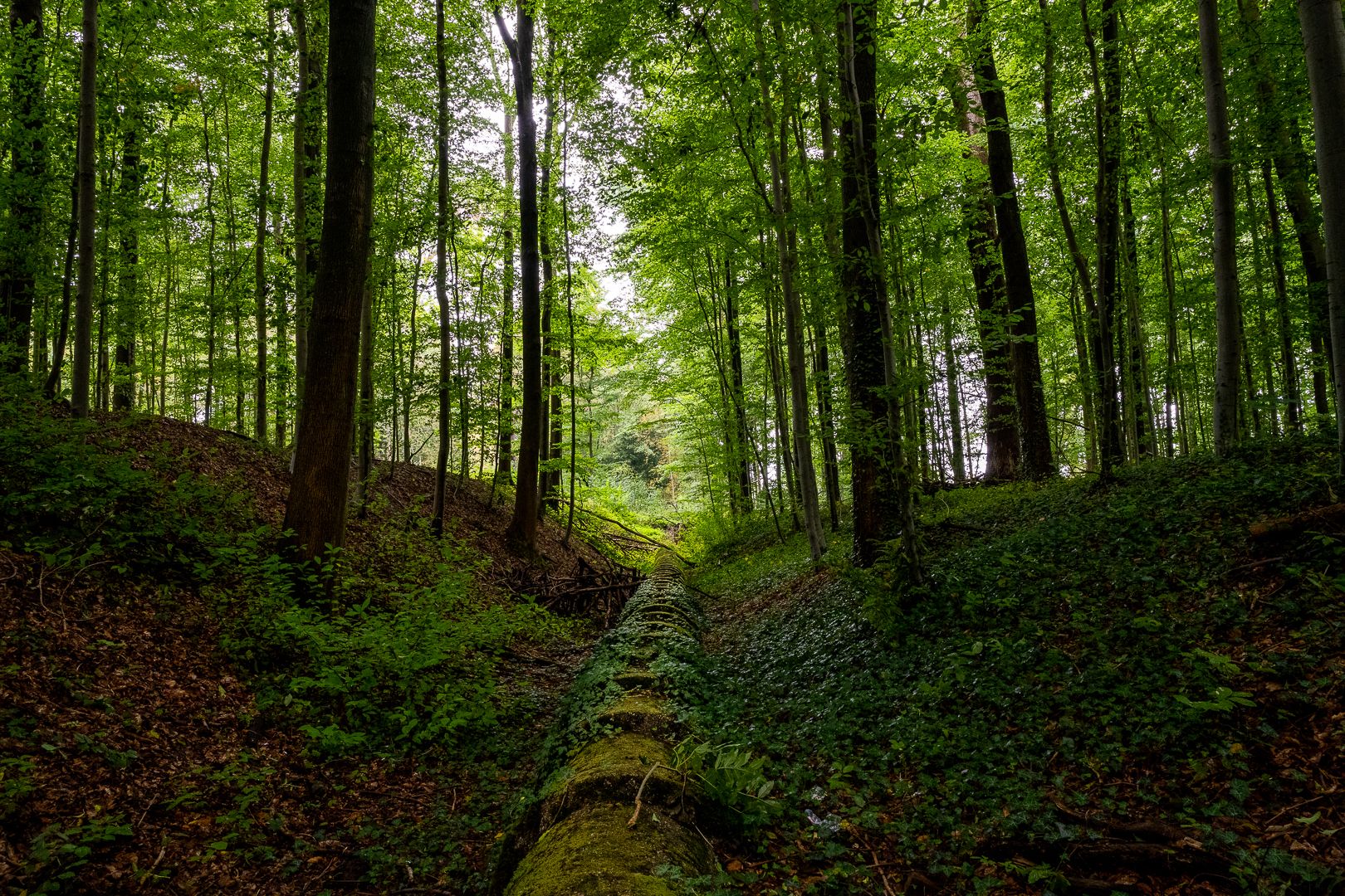 Tervuren Park, Brussels, Belgium