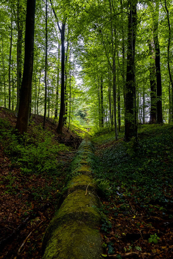 Tervuren Park, Brussels, Belgium