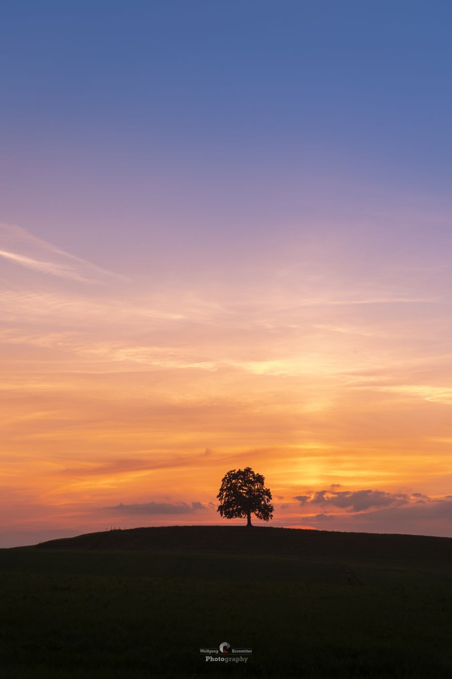 The Tree, Germany