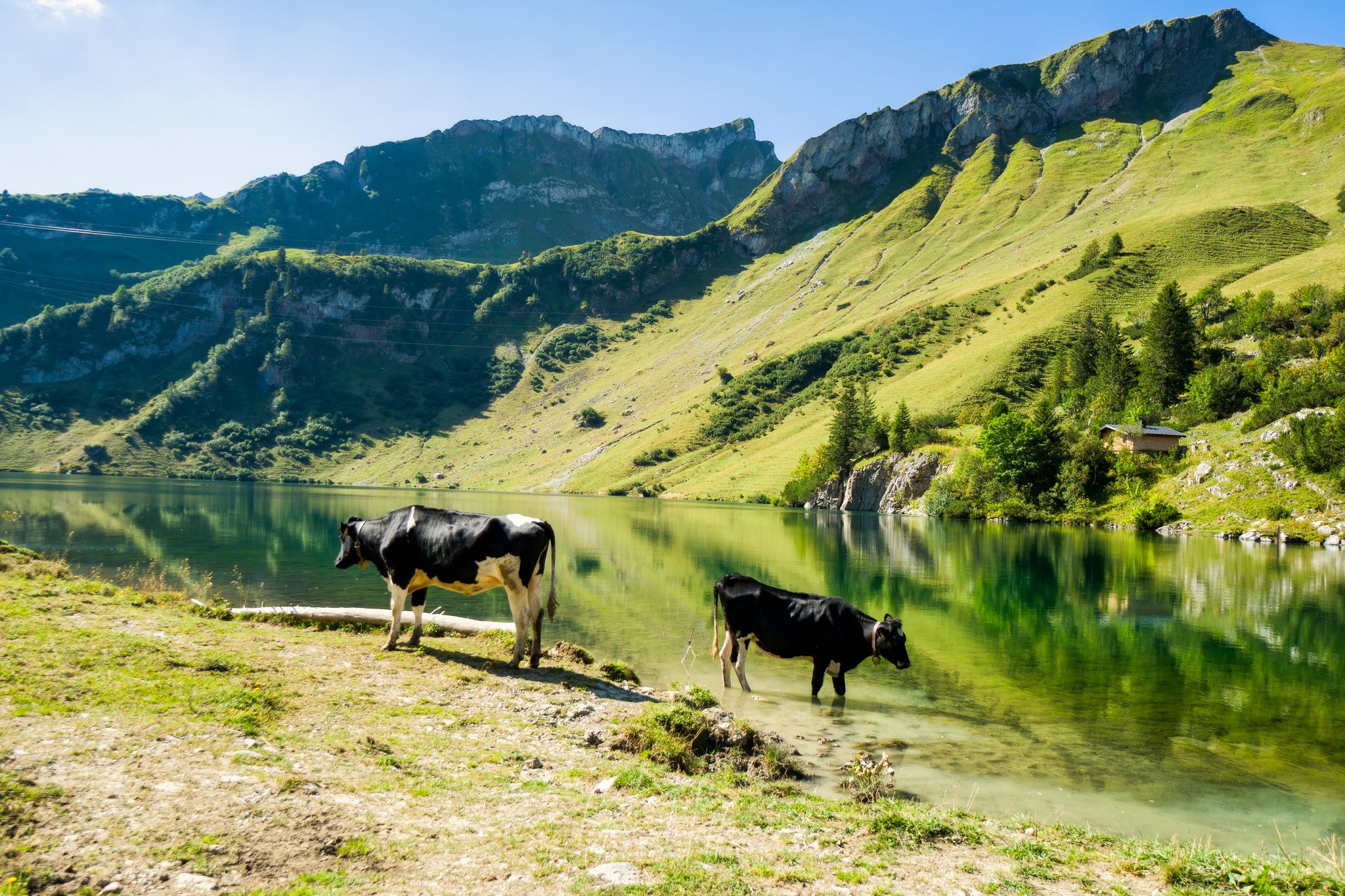 Traualpsee, Tannheimer Tal, Austria