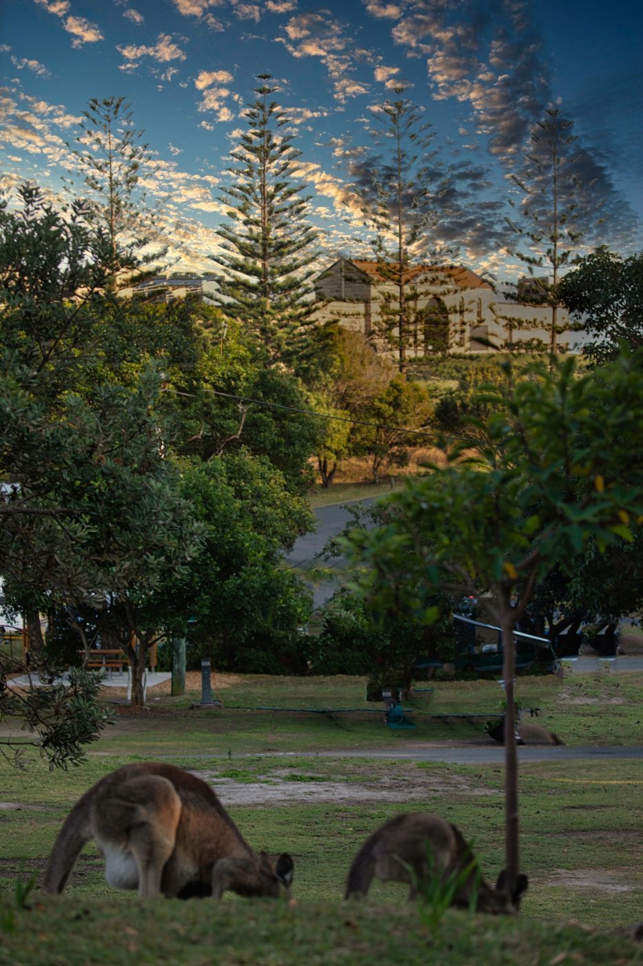 Trial Bay Gaol from the Caravan Park South West Rocks NSW, Australia