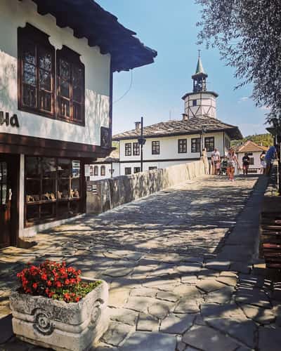 Tryavna