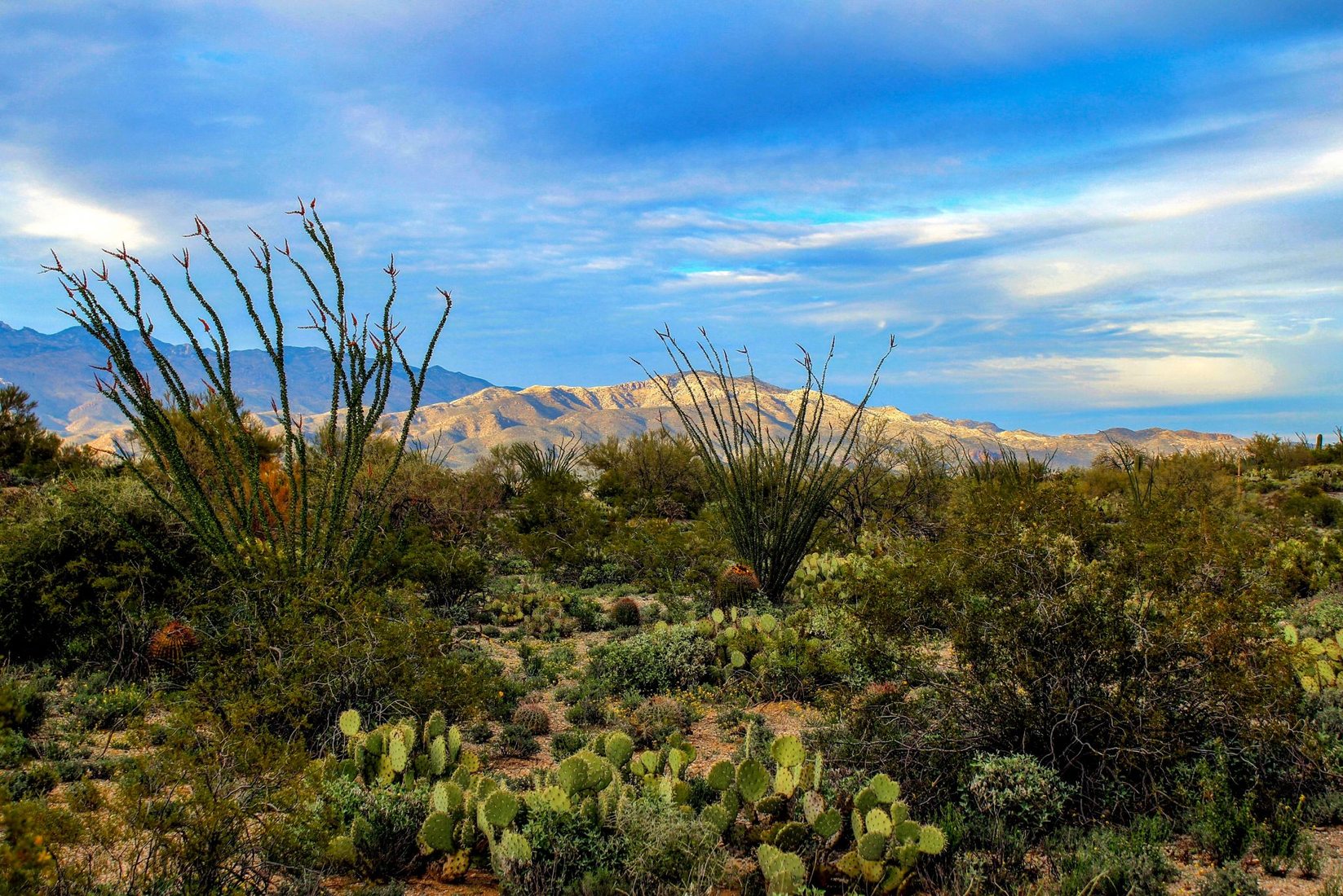 Valley View Trail, USA