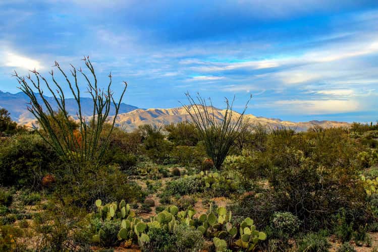 Valley View Trail