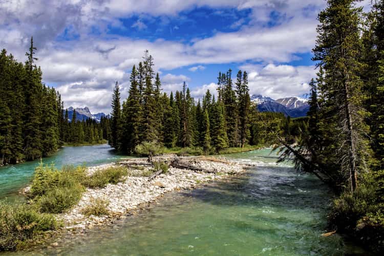 View from Bridge over Bow River