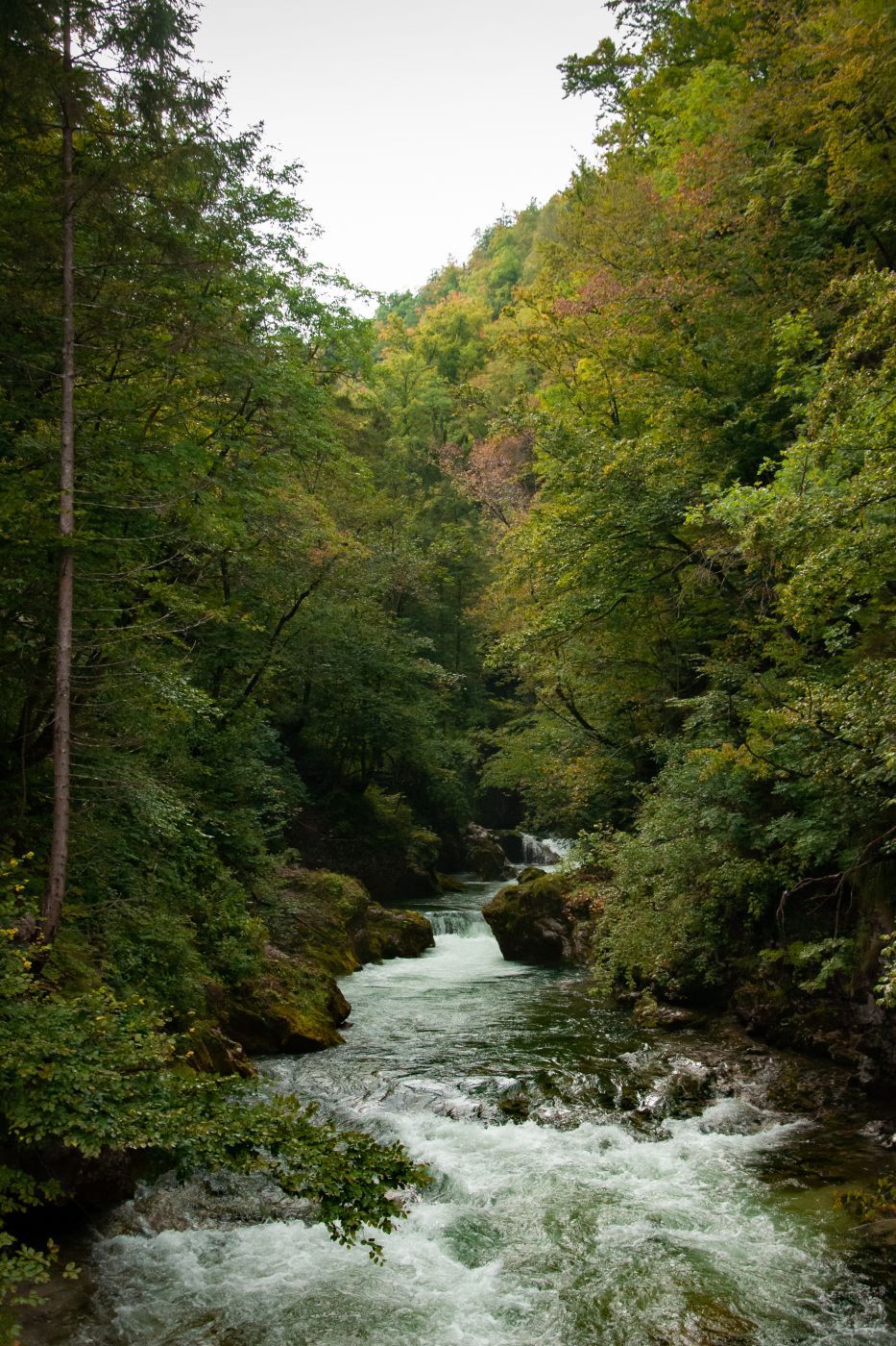 Vintgar gorge, Slovenia