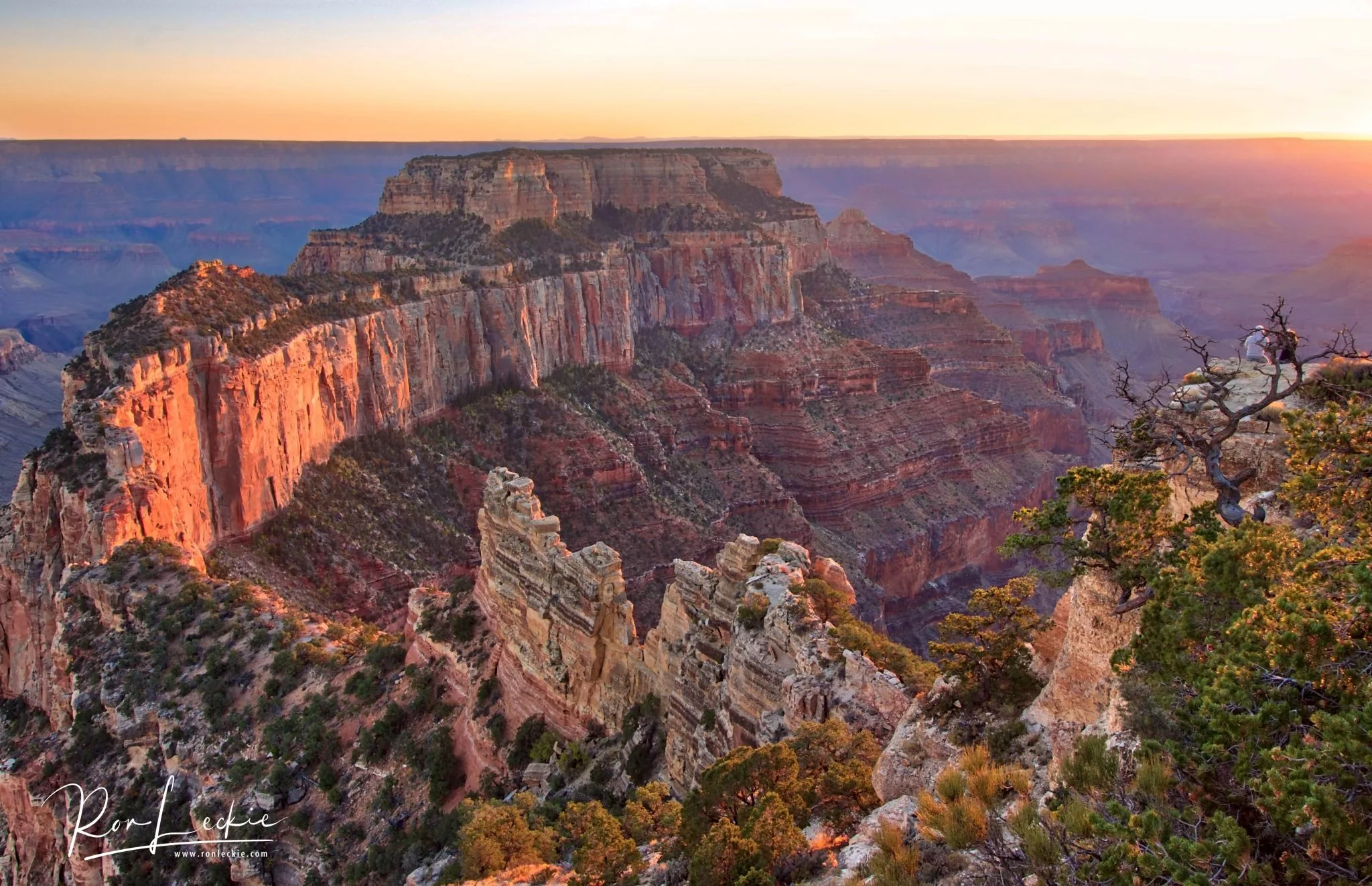 Top 7 Photo Spots at Grand Canyon North Rim in 2024