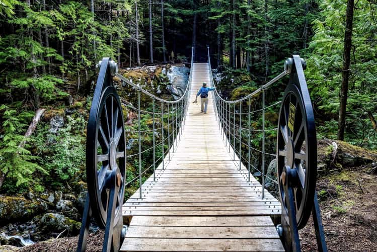 Whistler Train Wreck Bridge