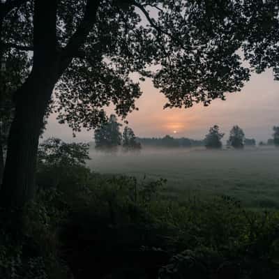 Wildenloh, Oldenburg, Germany