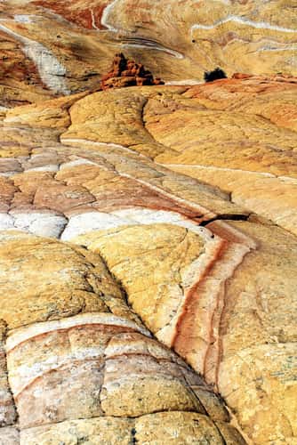Yellow Rock