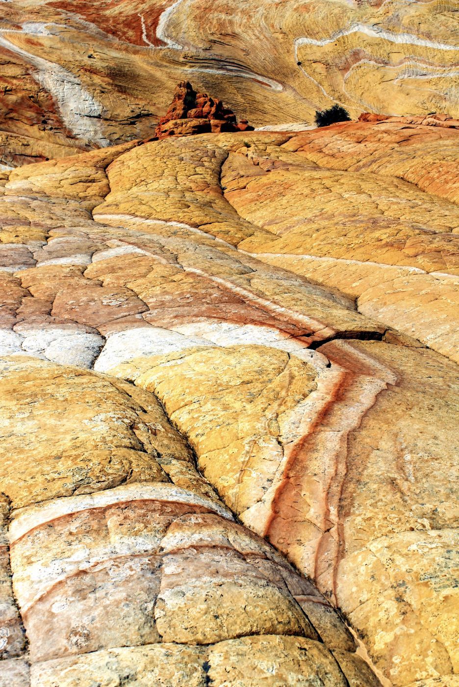 Yellow Rock, USA