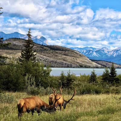 Yellowhead Highway, Canada