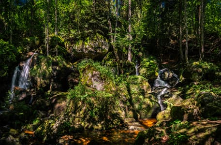 Ysperklamm