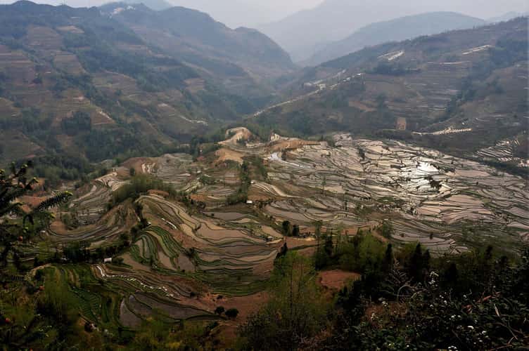 Yuan yang Yunnan, China