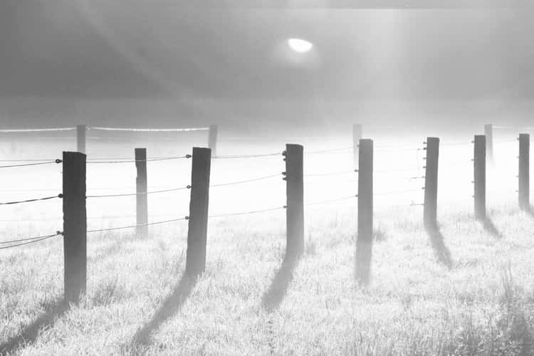 Zaun im Morgengrauen