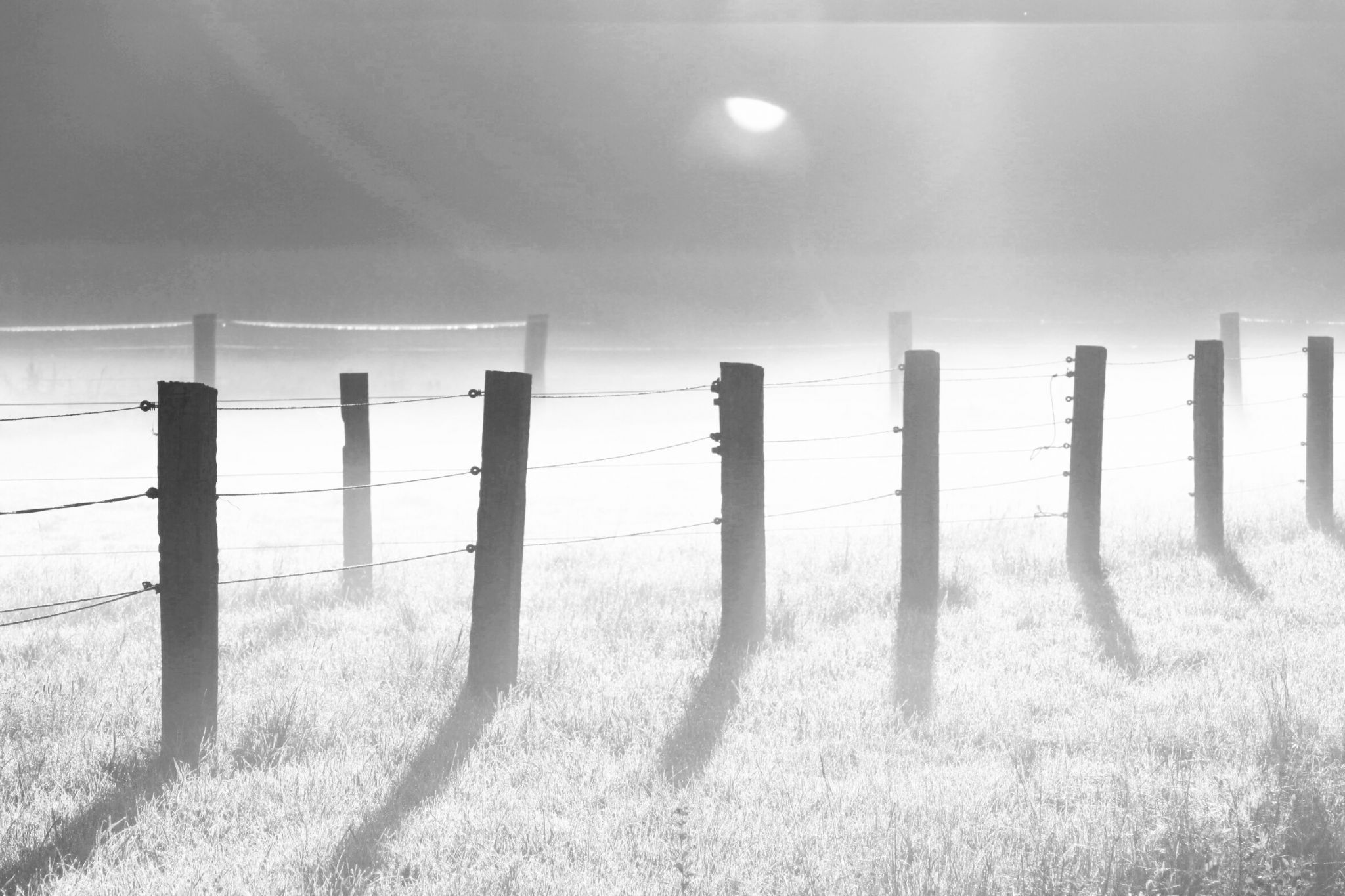 Zaun im Morgengrauen, Germany