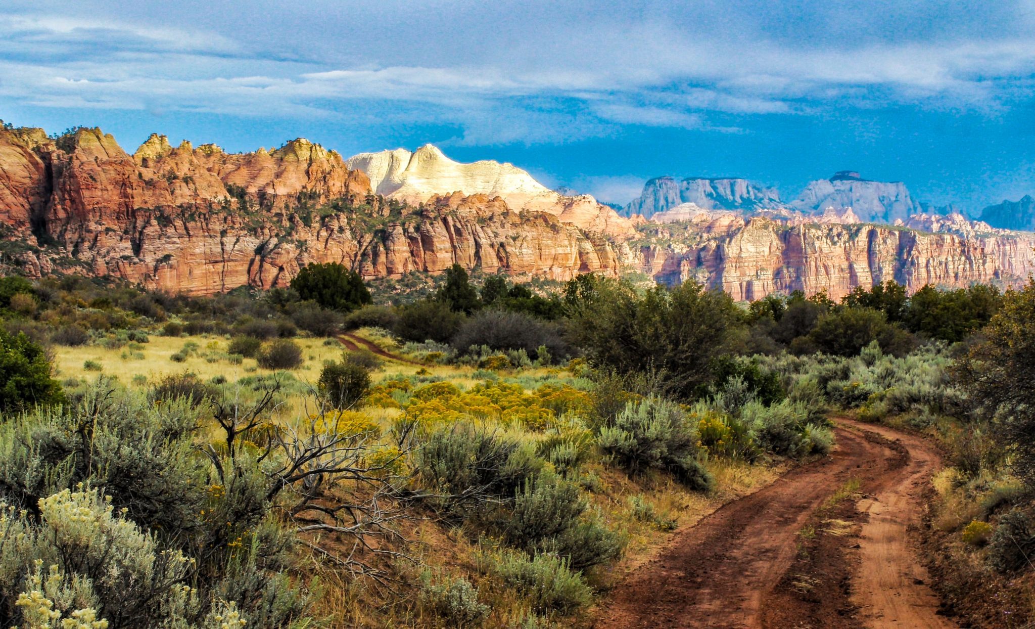 Zion National Park View from Kolob Terrace Road, USA