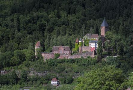 Zwingenberg Castle