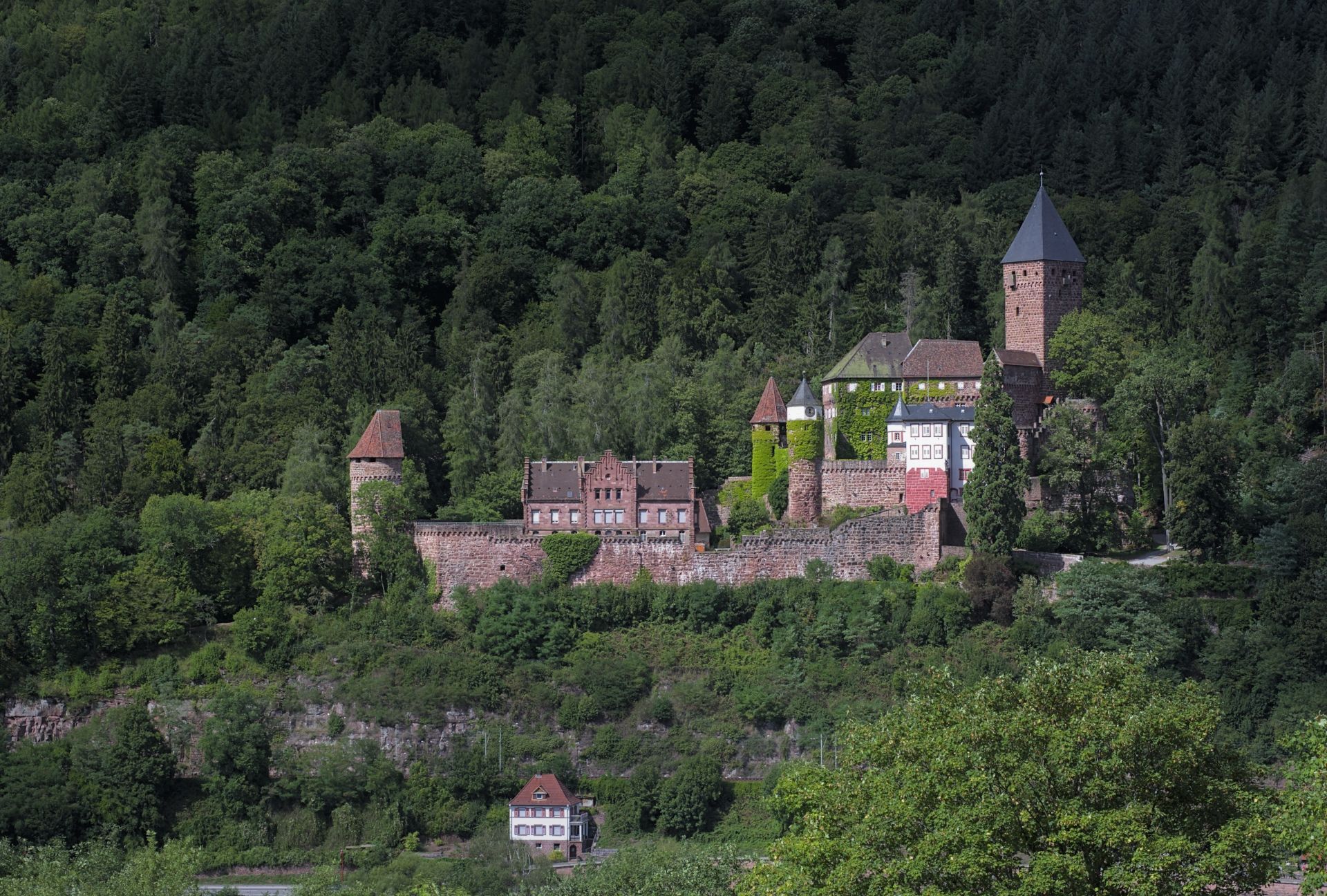 Zwingenberg Castle, Germany